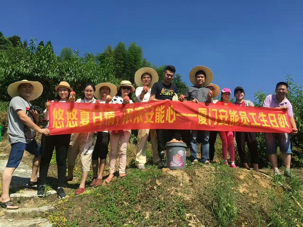 春暖花开的约定
